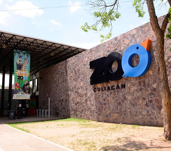 ciudad ciudad