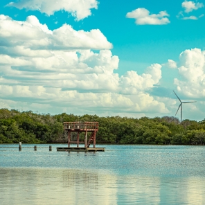 Disfruta del verano en las Playas de Yucatán
